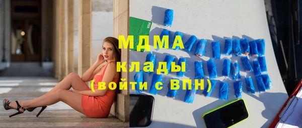 стаф Алексин
