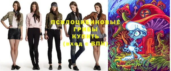 прущие грибы Алексеевка