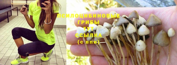 прущие грибы Алексеевка