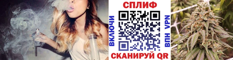 Конопля ГИДРОПОН  купить закладку  Лахденпохья 